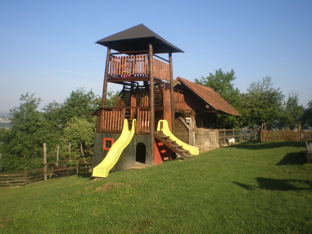 Pri Lazarju Farm Stay Podgrad  Екстер'єр фото